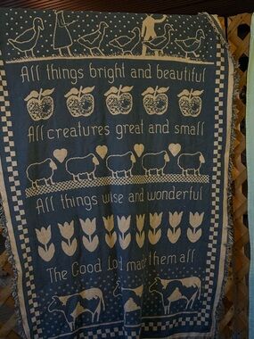 Vintage Farmhouse Throw Blanket - Blue & Cream